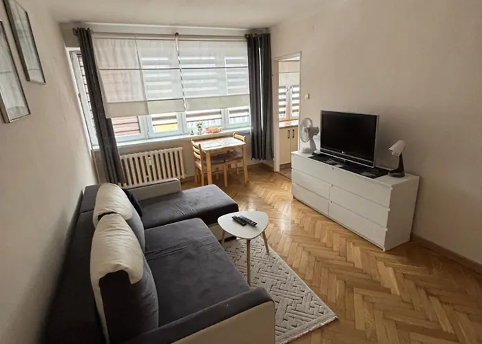 Apartament L38 Mieszkanie Dla Wszystkich 科宁照片