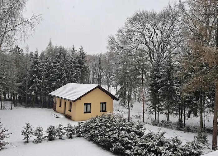 Domek Przy Lesie Lakie  fotoğrafı