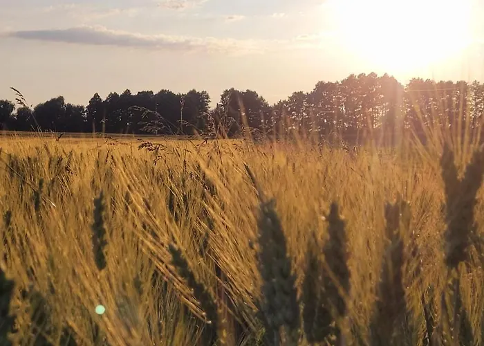 Stajnia Tarnowo Paluckie Villa photo