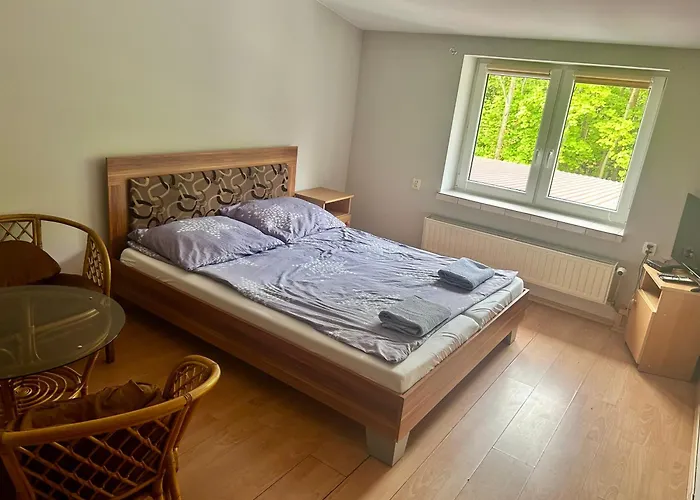 Zajazd Lesny Boryslawice Koscielne photo