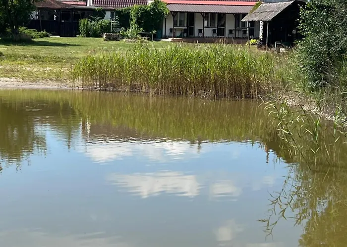 Pokoje Do Wynajecia W Wiekowie Blisko Powidza I Skorzecina Wiekowo照片
